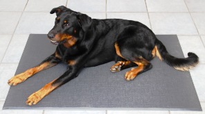 Sanitized Pet Mat